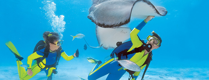 Activities & Attractions Cayman Islands