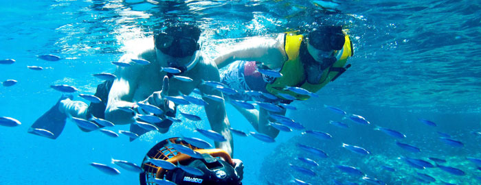 Activities & Attractions Los Cabos