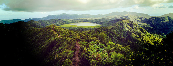 Local Knowledge Grenada