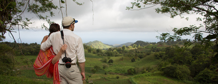 Local Knowledge St. Vincent & Grenadines